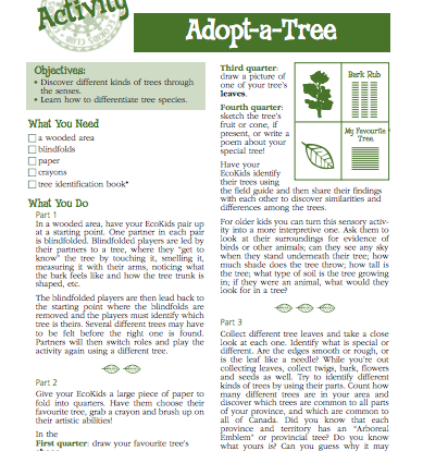Adopt a Tree Activity Growing the Next Generation