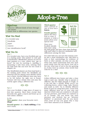 Adopt a Tree Activity Growing the Next Generation