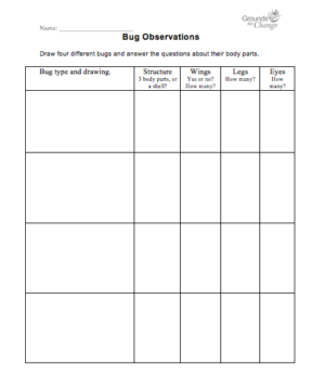 Bug observations student activity resource worksheet