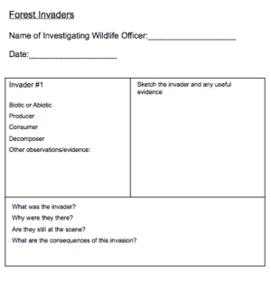 forest invaders activity resource for students