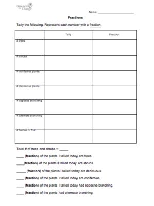 fractions student resource worksheet