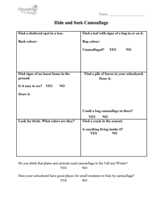 hide and seek camouflage student resource activity worksheet