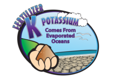 K Potassium poster classroom resource