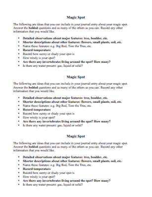 magic spot journal entry activity for students worksheet