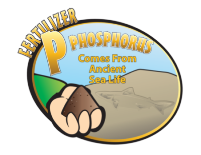 Phosphorus poster teacher classroom resource