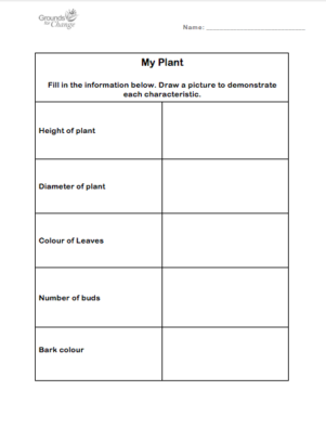 plant details student activity worksheet resource