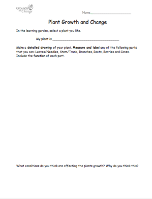 plant growth and change activity resource for students