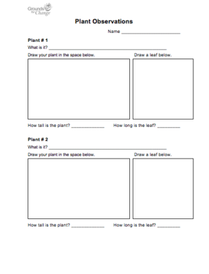 plant observations student activity resource