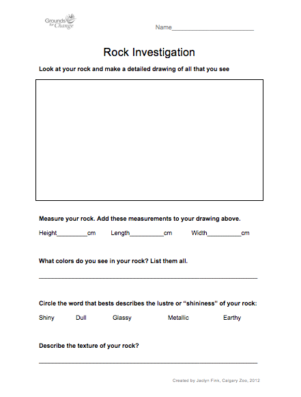rock investigation student activity resource and worksheet