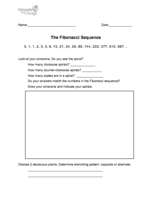 Fibonacci Sequence Extended student learning resource math activity