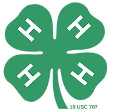 4-H USA