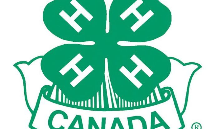 4H Canada Logo Website Resource