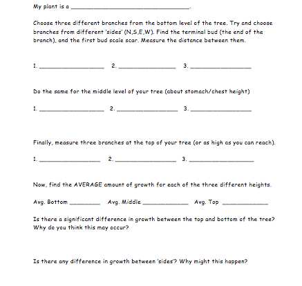 Average Plant Growth Activity Resource