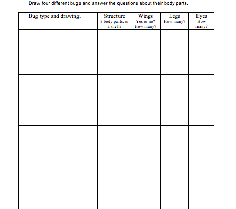 Bug observations student activity resource worksheet