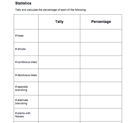 Calculating Percentage Student Resource Activity Worksheet