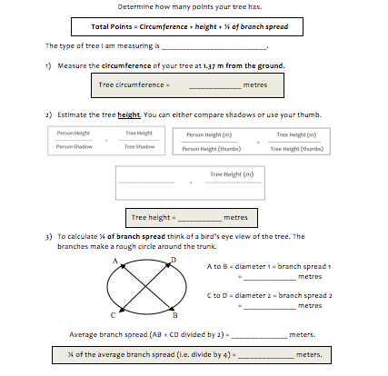 Champion Trees student activity resource