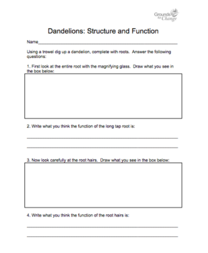 dandelions activity worksheet resource