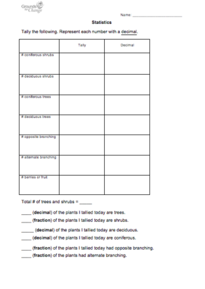 deimals student learning worksheet