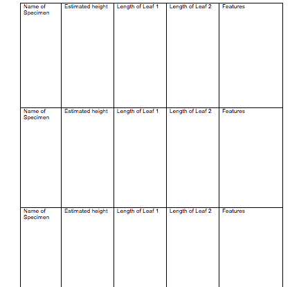 Ecosystem Investigation student activity worksheet