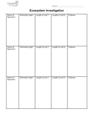 Ecosystem Investigation student activity worksheet