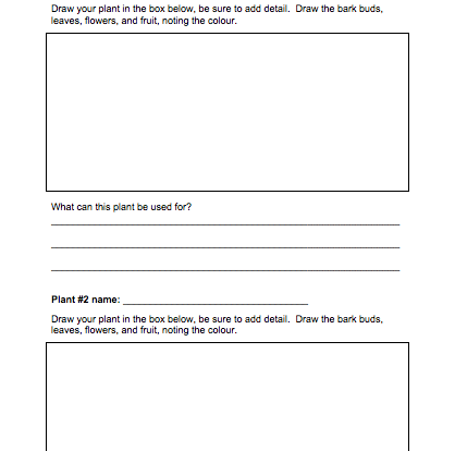 students learn about ethnobotany using this activity