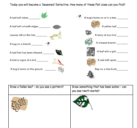 fall fun student activity worksheet