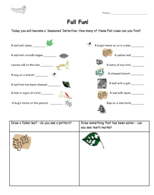 fall fun student activity worksheet