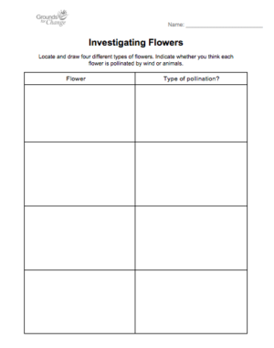 flower investigation fun student resource