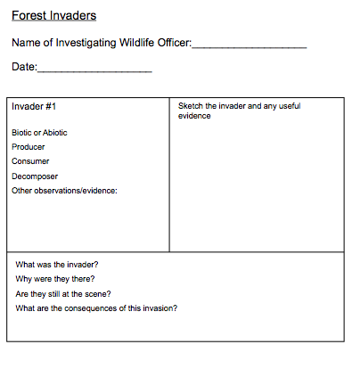 forest invaders activity resource for students