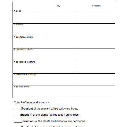 fractions student resource worksheet