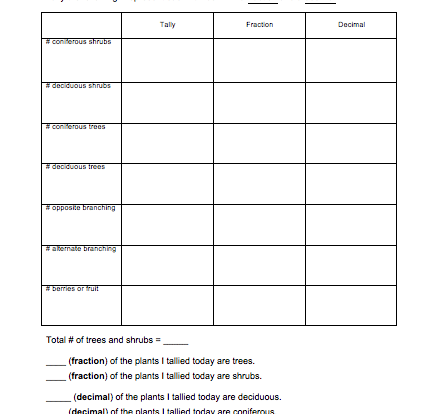 Fractions and decimals student resource worksheet