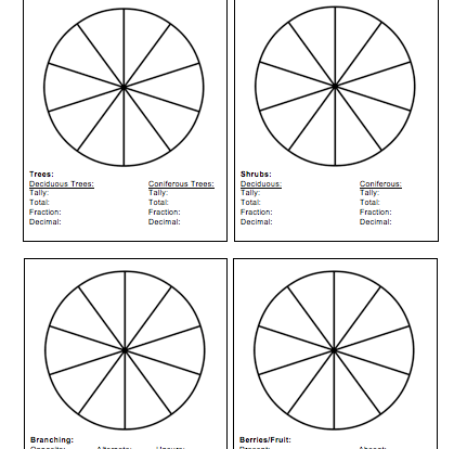 Fractions and decimals pie charts resource for students worksheet