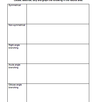 Tally and graphing resource activity for students