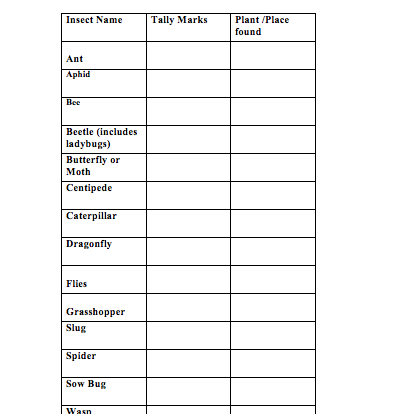 invertebrate inventory student activity worksheet resource