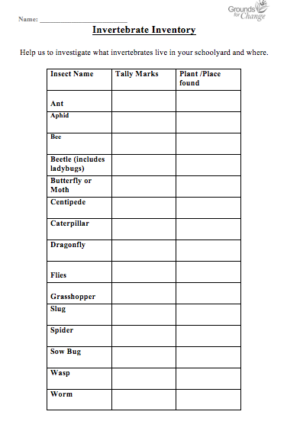 invertebrate inventory student activity worksheet resource