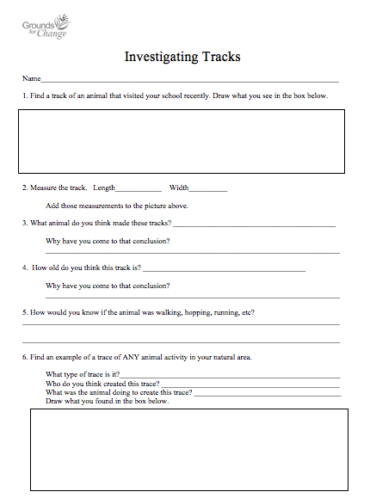 investigation student resource worksheet activity