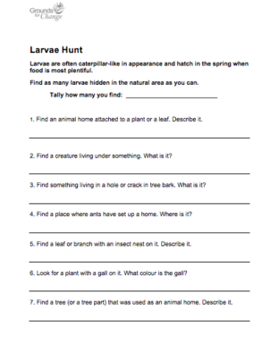 Larve hunt student activity resource workshet