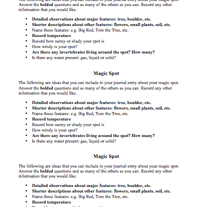 magic spot journal entry activity for students worksheet