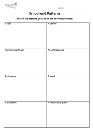 schoolyard patterns student worksheet resource