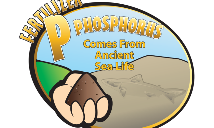 Phosphorus poster teacher classroom resource