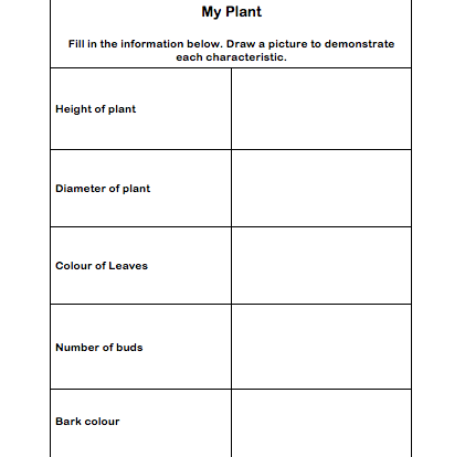 plant details student activity worksheet resource