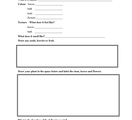 plant friend student resource activity