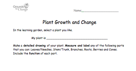 plant growth and change winter resource student activity