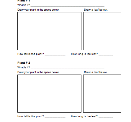 plant observations student activity resource