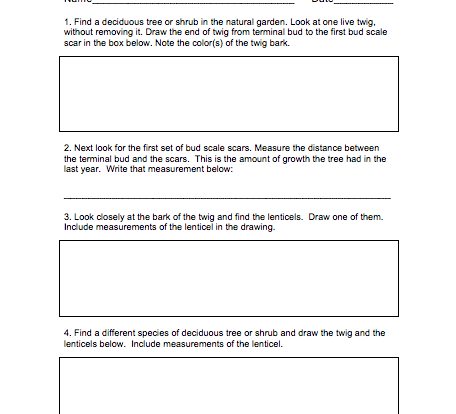 plant systems student activity resource