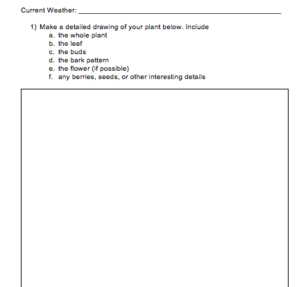 plant watch student resource activity