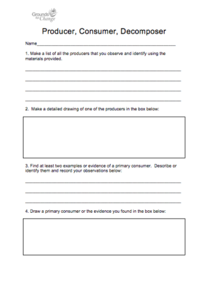 Producer consumer decomposer student activity worksheet