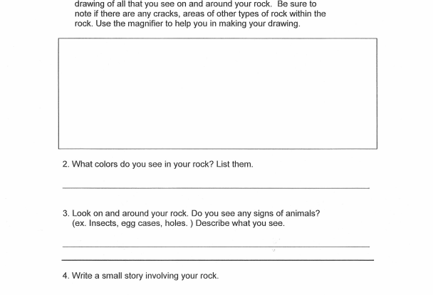 rock investigation small story student activity resource