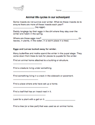 schoolyard lifecycles winter student activity worksheet