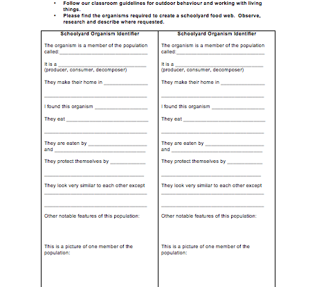 Schoolyard organism identifier student activity worksheet